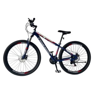 BICICLETA MTB PANORAMIC Rod.29